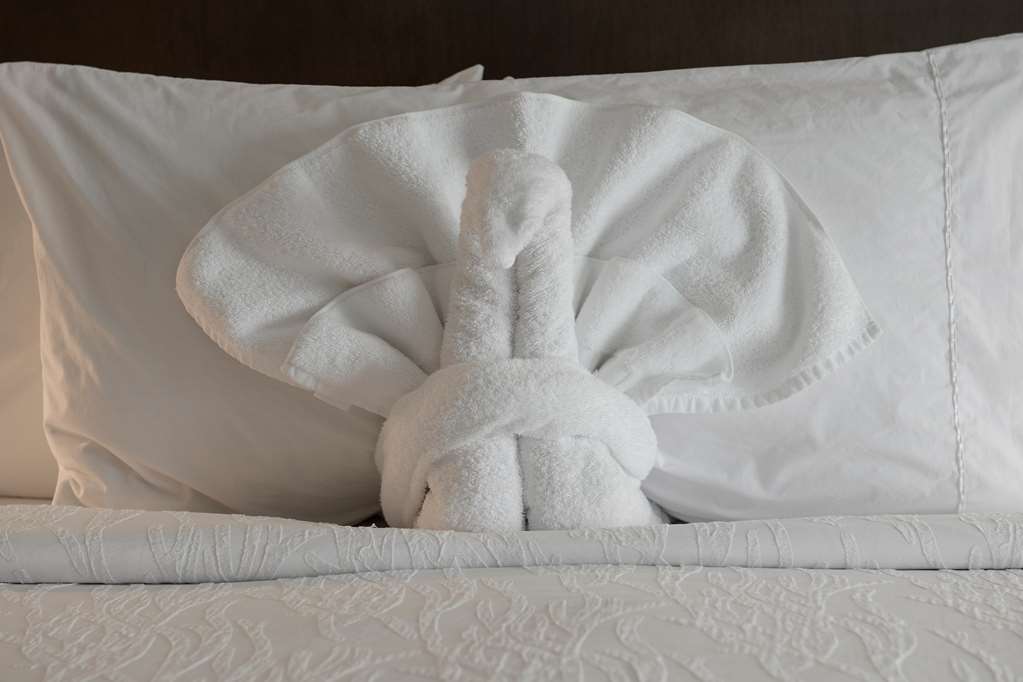 Hilton Garden Inn Louisville Mall Of St. Matthews Kemudahan gambar