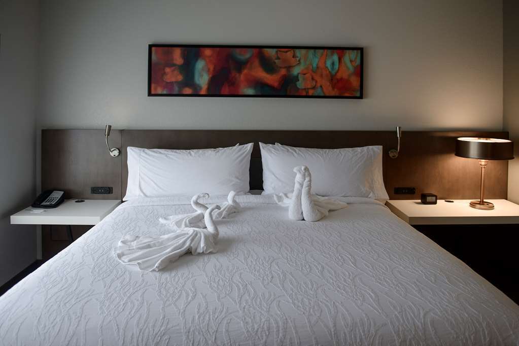 Hilton Garden Inn Louisville Mall Of St. Matthews Bilik gambar